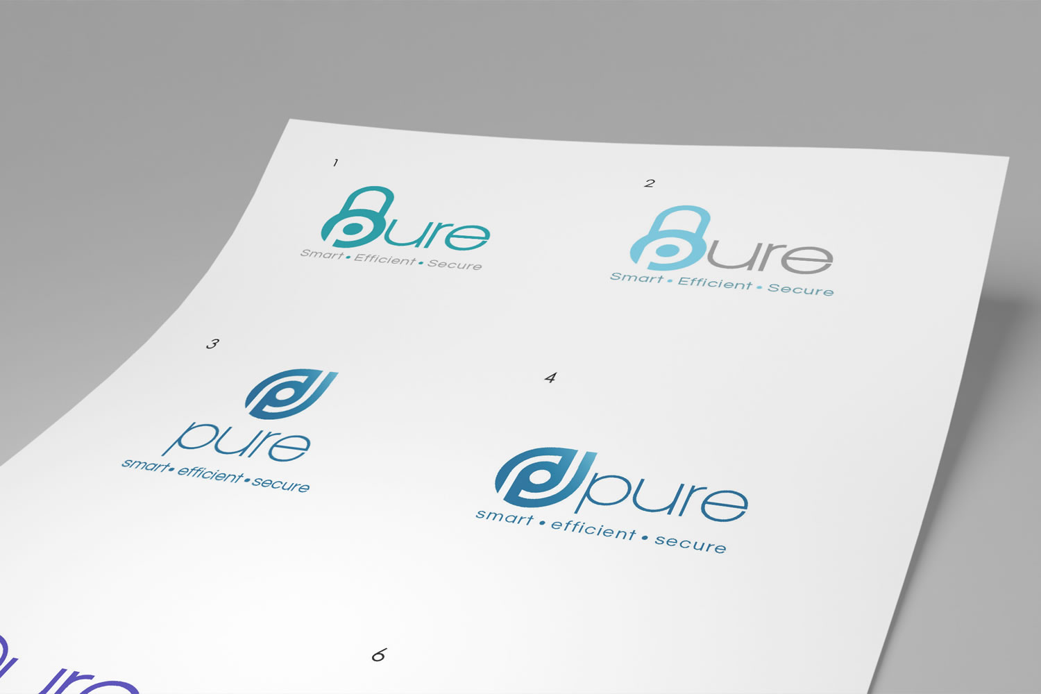 Pure Window and Doors logo